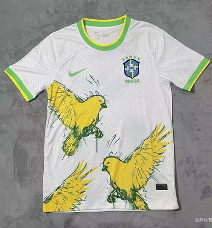 BRAZIL RIO DE JANERIO VOLUME 2